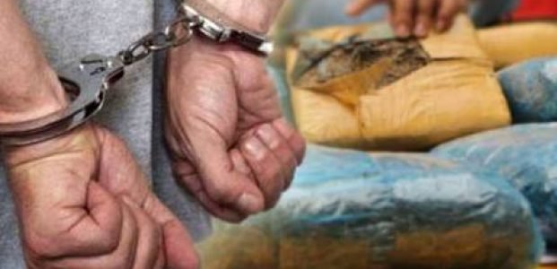 Kurir Ganja Warga Lampung Tertangkap di Kota Serang Kurir Ganja Warga Lampung Tertangkap di Kota Serang