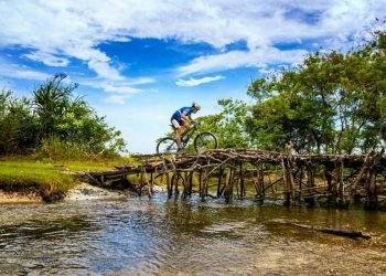 Pengelola KEK Tanjung Lesung Tingkatkan Mitigasi Vegetasi