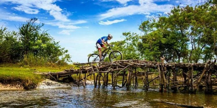 Pengelola KEK Tanjung Lesung Tingkatkan Mitigasi Vegetasi