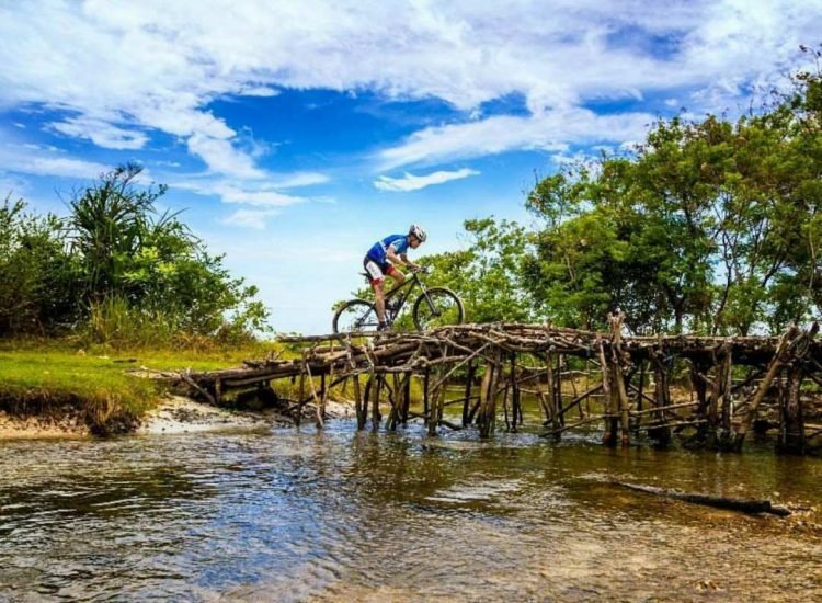 Pengelola KEK Tanjung Lesung Tingkatkan Mitigasi Vegetasi