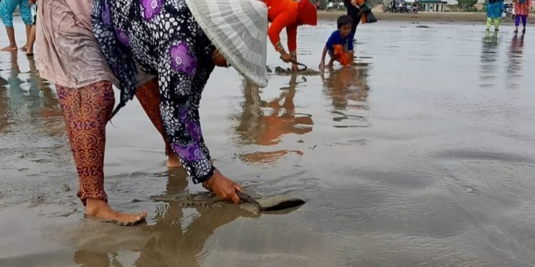 Liburan Ke Pantai Karang Nawing, Ratusan Wisatawan Ikut Lomba Kijing