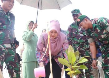 Korem 064 MY Tanam 5,000 Pohon Ketapang Antisipasi Gelombang Tsunami