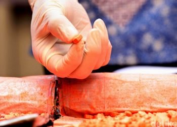 Edarkan Ratusan Butir Tramadol, Seorang Pria di Pandeglang Dicokok Polisi