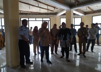 Kemenpan RB Ingatkan Mal Pelayanan Publik Pandeglang Harus Ramah Disabilitas