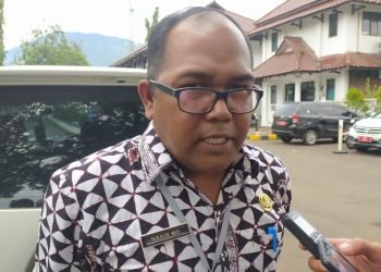 Kualitas Manggis Pandeglang Menurun Akibat Kemarau   