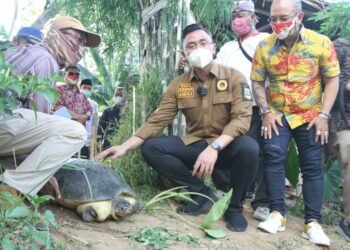 Wagub Banten Andika Lepas Liar Kura-kura di Sungai Cisadane