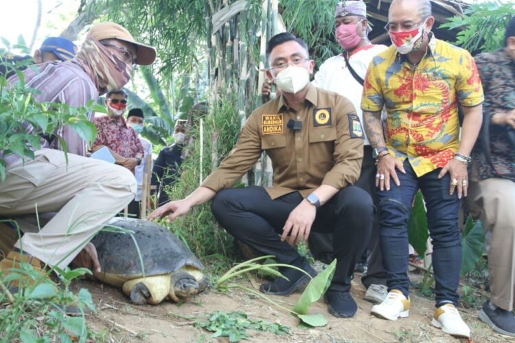 Wagub Banten Andika Lepas Liar Kura-kura di Sungai Cisadane