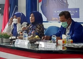 Terpilih Pimpin PUAN PAN Banten, Ade Jumaiyah Syafrudin Targetkan Tiga Besar Kursi Legislatif PAN