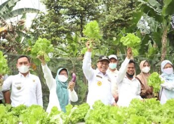 Wakil Wali Kota Cilegon Apresiasi Petani Gerem Manfaatkan Lahan Tidur