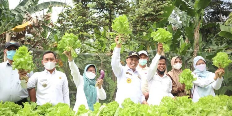 Wakil Wali Kota Cilegon Apresiasi Petani Gerem Manfaatkan Lahan Tidur