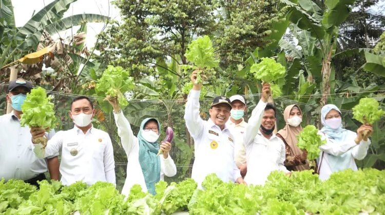 Wakil Wali Kota Cilegon Apresiasi Petani Gerem Manfaatkan Lahan Tidur